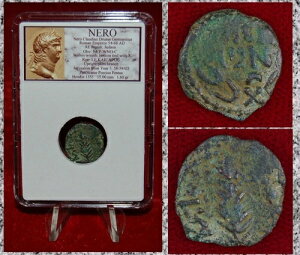 Ñテ_NEROuYRCAv^AGT~gA58`59NAV̊