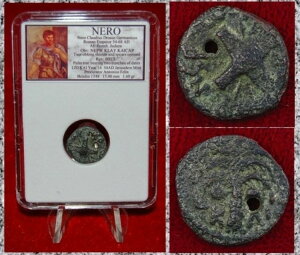 Ñテ_NEROuYRCAv^AGT~gA54NAƃV̖