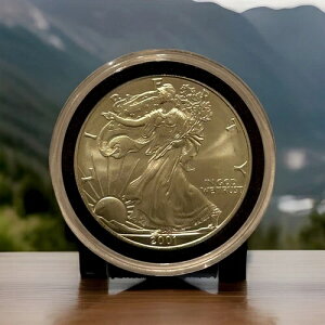 2001NEH[LOEoeBăhd 1IX .999  ~g vX`bNP[X