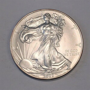 2009N  AJ Vo[ C[O čǔs 1IX  #N307