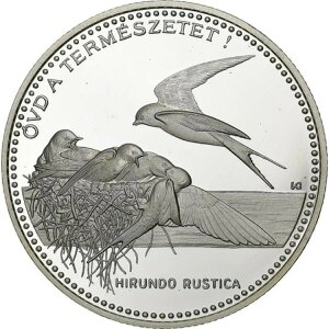 [#1049895] nK[A2000tHgA1998NAu_yXgAv[tAAMSAKM:730