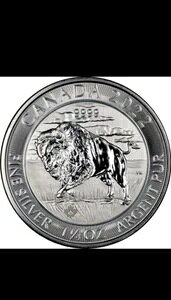 2022N Ji_ oC\ obt@[ 1.25 1 1/4IX .9999 Vo[ 8h uAg 