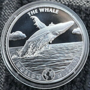 2020NRS勤a - 20t - NW - 1IX v[t Vo[NE