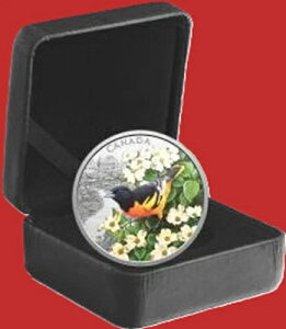 2025NJi_h 20h {`AEgDsA - JtȒ̃v[t 1IX Vo[999 IWi{bNX