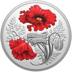 2024N 20h vҒǓLO - 1IX Ji_ v[t