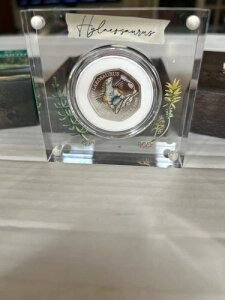 2020�N �q���G�I�T�E���X 50�y���X �J���[�V���o�[ �v���[�t�R�C�� ������ COA ���C�����~���g ����