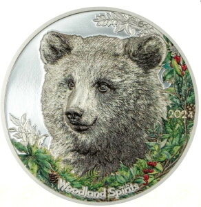 2024N S Ebhh Xsbc xA 1IX Vo[ J[v[tRC