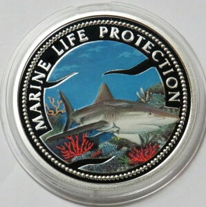 1999N pI 5h Cmی T悯 J[RCJvZ