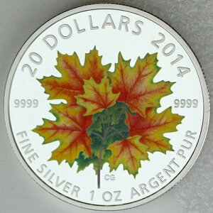 �J�i�_ 2014�N 20�h�� ���[�v�����[�t ��� 1�I���X ���� �J���[�v���[�t�R�C��