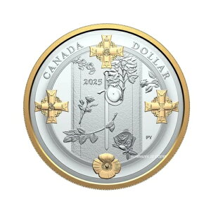 2025�N�J�i�_������m�̕� 1�h�������b�L�v���[�t����