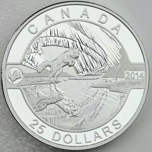 Ji_ 2014N 25h kɃLclƃI[  ʃv[t