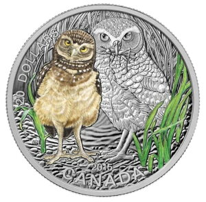 2015NJi_ 20h Ԃ񓮕FAiztNERCƐ؎Zbg