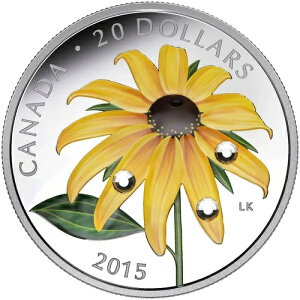 2015NJi_h 20h ubNAChEX[Ui̘I̎tj - 