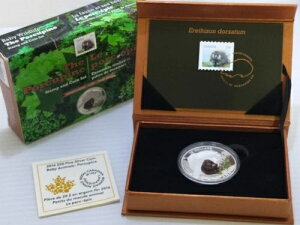 2015N 20h݁؎Zbg - Ԃ񓮕F}AV