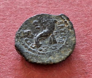 NIpg IO30N / d̖L̊p 1.4g-14mm 