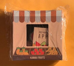 2023NTA2h 킢t[cAS 1IX J[Vo[ v[tRC 500