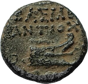 �A���e�B�I�R�X IX �L�W�P�m�X 113BC ���A R2 �Z���E�L�b�h �M���V�� �R�C�� ATHENA & GALLEY i66360