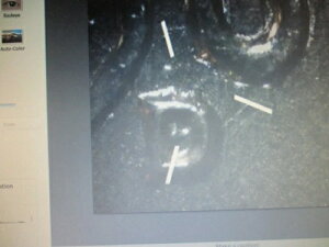 1960-D �X���[���f�C�g �����J�[�� �Z���g RPM D OVER D NORTH ���A MMM