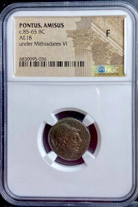 ~g_eX6 IO85N`IO65N NGCFMVRC Ñ|gDXEA~\X