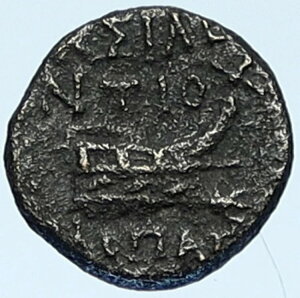 �A���e�B�I�R�X 9 ���L�W�P�m�X 113BC ���A R2 �Z���E�L�b�h �M���V�� �R�C�� ATHENA & GALLEY i109308