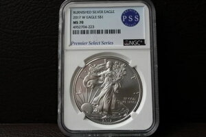 2017 W o[jbVh Vo[ C[O MS 70 NGC v~AZNgV[Y Ax