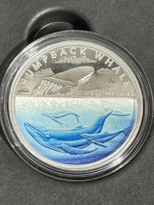 2023N I[XgA UgENW v[t J[ 1IX  - s 3,000