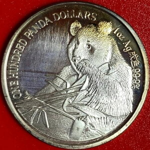 1989 `RC 100 h p_ h 1 IX Vo[ v[t hS Xl[N !