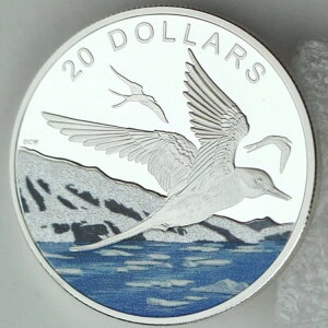 2017N 20h PkɊCFLNAWTVAv[tA{̃_ChOb^[