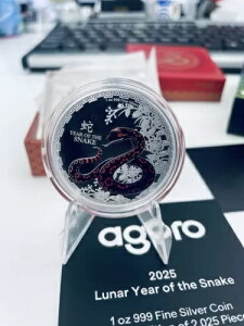 jEG -2025 - A - 2025N N - 1IX ݃v[t