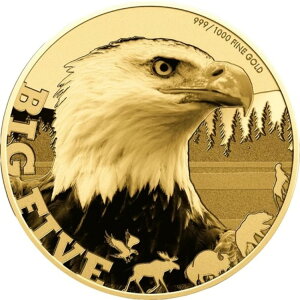 2024N `h .999  nNgEV USA rbOt@Cu AJ l 쐶 WWF 