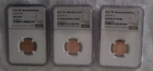 2019�N W �����J�[���V�[���h�Z���g 3���Z�b�g�BNGC�z���_�[�S69�����O���[�f�B���O�ς�