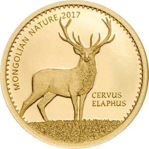 2017 0.5g �S�[���h 1000 �g�O���O �����S�����R�Ԏ� �v���[�t�R�C���B