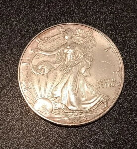 AJ 1h?2004N AJVo[C[O 1IX?RC?* AU