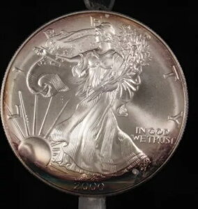 2000N AJ Vo[ C[O RC 1IX US $1 h  .999 