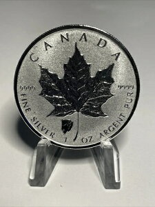 2018N 1gCIX [v[t ؐoC\ vCx[g o[X v[t JvZ