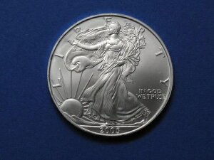 2005N AJVo[C[O č EH[LOoeBRC 1IX .999 