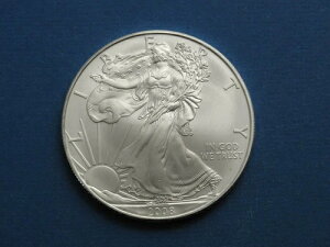 2008N AJVo[C[O č EH[LOoeBRC 1IX .999 