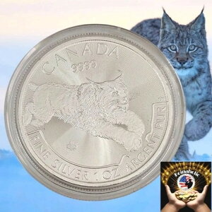 2017N Ji_ Vo[ NX vf^[V[Y RC .9999 1IX Vo[ ۊǌɂ