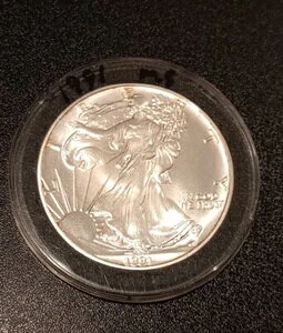 AJ 1h?1991N AJVo[C[O 1IX?* MS