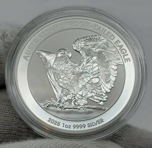 2025N I[XgA EFbWe[ C[O 1IX .9999 