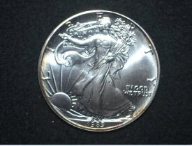 1989年 アメリカン シルバー イーグル 1オンス .999 ファインシルバー チョイスジェム BU $1 ライトトーン