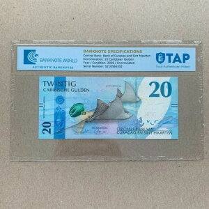 �L�����\�[�ƃV���g�E�}�[���e�� 20 �O���f�� BW �F�؎��� �ؖ����t���ʉ�