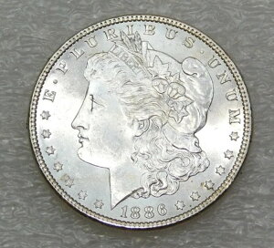 1886N P K Vo[ _[ `CX BU tXeBzCg X^[ Ttbv #J28