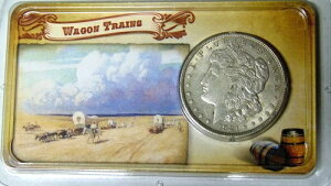 1921-P �����K�� �V���o�[ �_���[ �y�n�ԑ� ���C���h �E�F�X�g �V���[�Y
