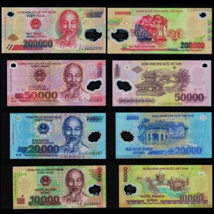200,000 50,000 20,000 10,000 xgih VND Vi  {Zbg COA