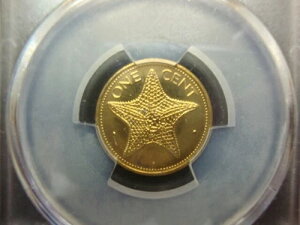 1981�N PCGS SP 66 ���b�h �o�n�} 1�Z���g �L���O�X�m�[�g���~���g SLABZ