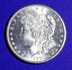 1881-S 1h K݁iv[tjGA^Cgz_[ z D #1