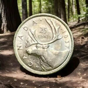 1937NJi_25ZgW[WݒᒒNx^Cv~BU