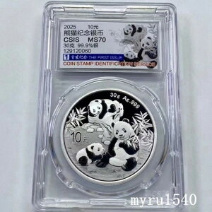 CSIS 2025  10 p_ 30g Ӓ菑t s