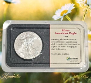 1999N 1h݃AJC[O  IWiggz_[